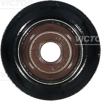 Уплотнительное кольцо, стержень клапана VICTOR REINZ 70-36866-00 для BMW X2