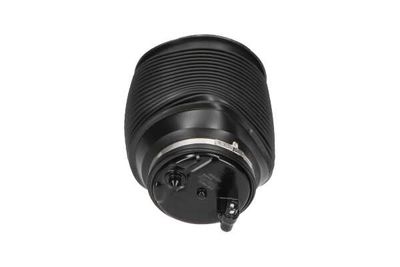 ARC PNEUMATIC DIRECTIE Kavo Parts SAS10012 24