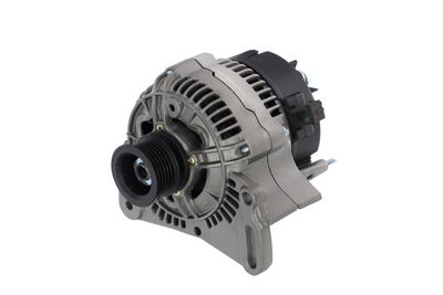 GENERATOR / ALTERNATOR REMANTE 011003000005R 6