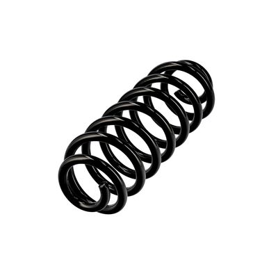 ARC SPIRAL EIBACH R10701 15