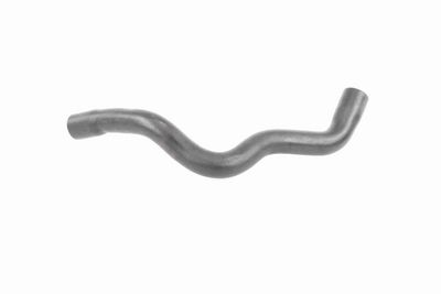 FURTUN RADIATOR VAICO V203246 5