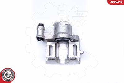 Brake Caliper 42SKV131