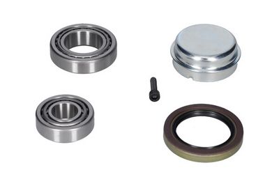 Kavo Parts Rato guolio komplektas