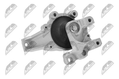 SUPORT MOTOR NTY ZPSHD123 31