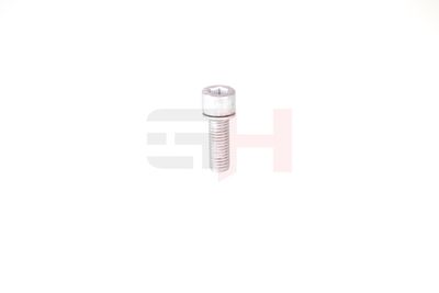 SURUB DE GOLIRE AX GH GH399902 30