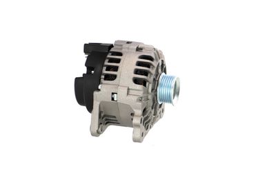 GENERATOR / ALTERNATOR REMANTE 011003000735R 43