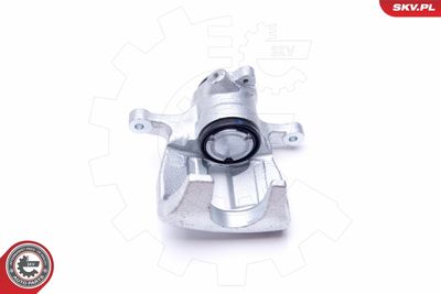 Brake Caliper 44SKV443