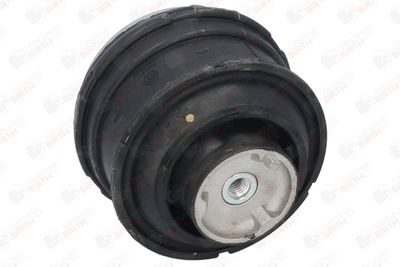SUPORT MOTOR BIRTH 51192 1