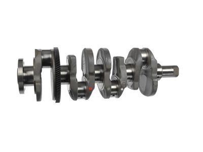 ARBORE COTIT ET ENGINETEAM HK0231 28