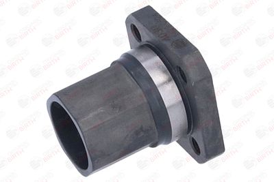 FLANSA LICHID RACIRE BIRTH 4030 3