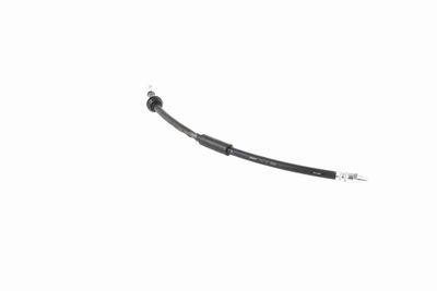 FURTUN FRANA VAICO V201908 6