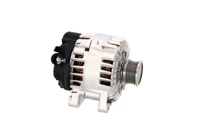 GENERATOR / ALTERNATOR REMANTE 011003000825R 49