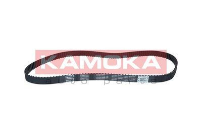 Timing Belt 7000060