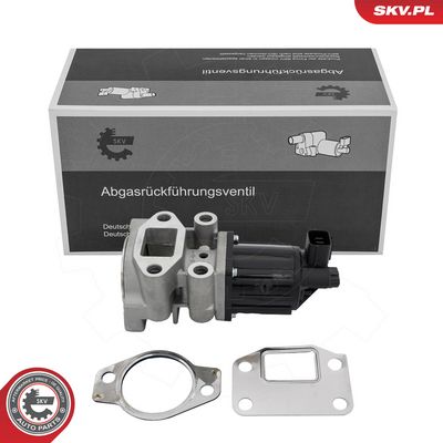AGR-Ventil ESEN SKV 14SKV300