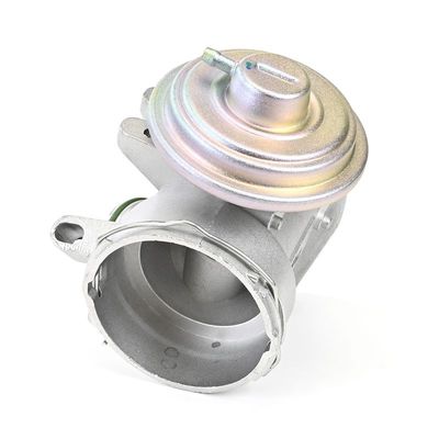 SUPAPA EGR DELPHI EG1061512B1 21