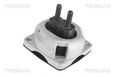 TRISCAN Variklio montavimas