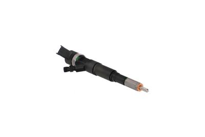 INJECTOR REMANTE 002003001174R 46