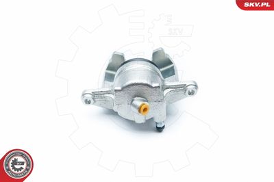 Brake Caliper 23SKV651