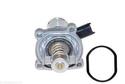 TERMOSTAT LICHID RACIRE AUTOMEGA 160089010 2