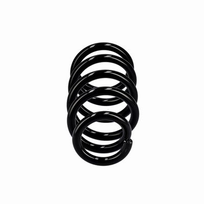 ARC SPIRAL EIBACH R10603 13