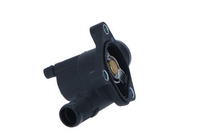 TERMOSTAT LICHID RACIRE NRF 725009 20