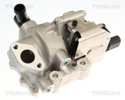 AGR-Клапан TRISCAN 8813 18046