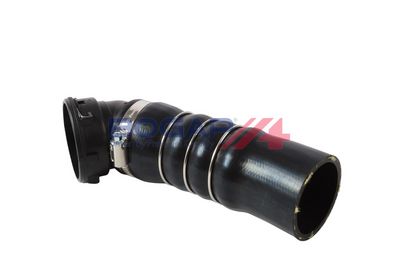 FURTUN EAR SUPRAALIMENTARE BOGAP B1711214 2