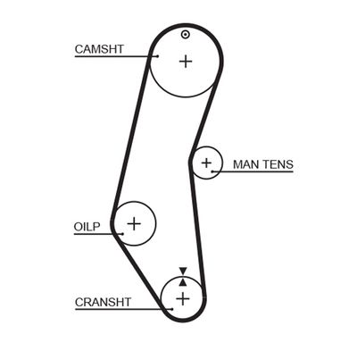 Timing Belt GATES 5018