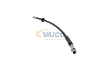 FURTUN FRANA VAICO V461009 19