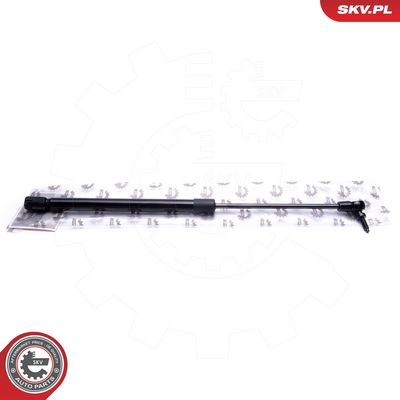 Dujinė spyruoklė, bagažinė