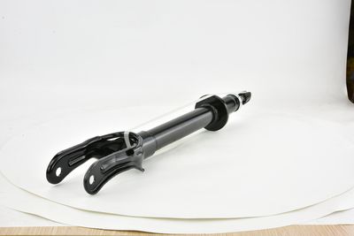 AMORTIZOR FEBEST 20110001F 19