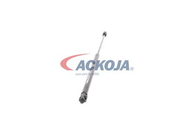 AMORTIZOR PORTBAGAJ ACKOJA A370061 50
