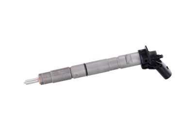 INJECTOR REMANTE 002003000171R 10