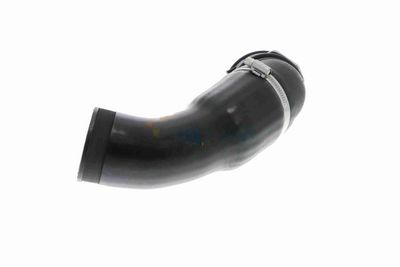 FURTUN EAR SUPRAALIMENTARE VAICO V202969 4
