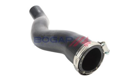 FURTUN EAR SUPRAALIMENTARE BOGAP R1711215 3