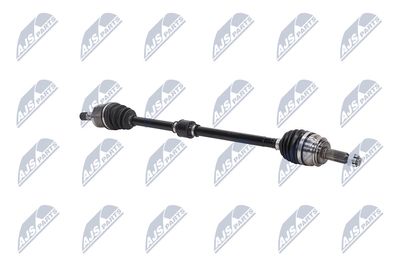 PLANETARA NTY NPWCH062 28