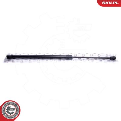 Dujinė spyruoklė, bagažinė