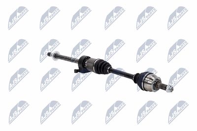 PLANETARA NTY NPWBM021 12