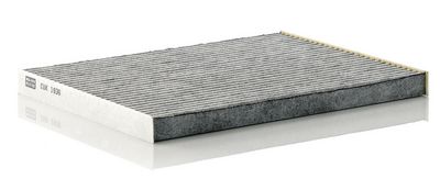 Filtras, salono oras