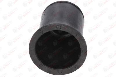 BUCSA ARBORE DE DIRECTIE BIRTH 4726 10