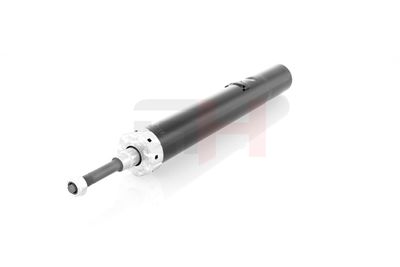 AMORTIZOR GH GH325251 12