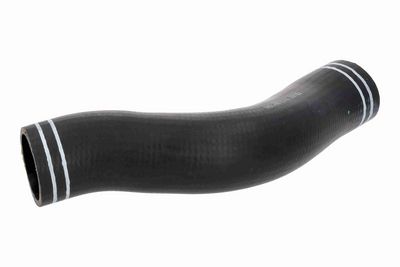 FURTUN EAR SUPRAALIMENTARE ACKOJA A380297 1