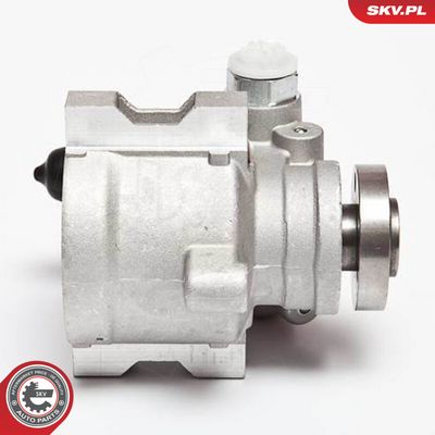 Servopumpe ESEN SKV 10SKV089 for RENAULT