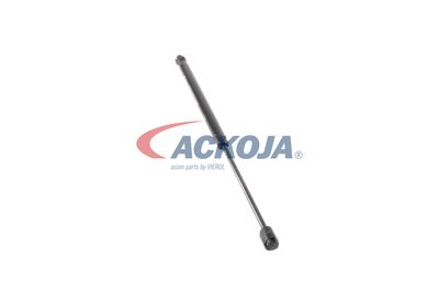 AMORTIZOR PORTBAGAJ ACKOJA A530150 23