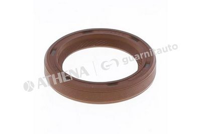 SIMERING ARBORE COTIT