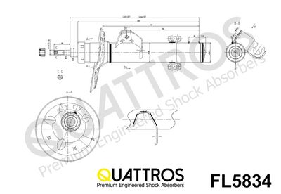 AMORTIZOR DAVID VASCO FL5834 1