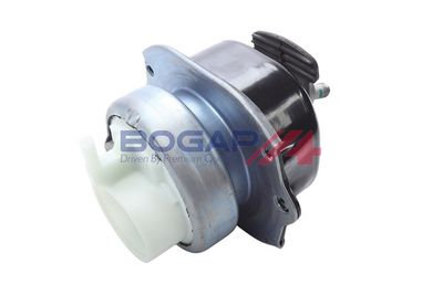 BOGAP Variklio montavimas