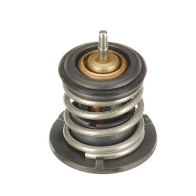 TERMOSTAT LICHID RACIRE GATES TH60380G1 29