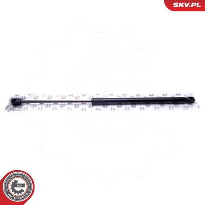 Dujinė spyruoklė, bagažinė