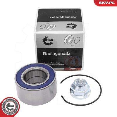 Radlagersatz